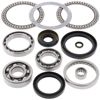 Front Differential Bearing & Seal Kit - For 02-14 Kawasaki Suzuki