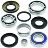 Rear Differential Bearing & Seal Kit