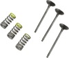 Steel Intake Valve/Spring Kit - For 01-13 Yamaha WR250F YZ250F