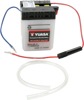 Conventional Batteries - 6N4-2A-4 Yuasa Battery