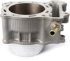 Standard and Big Bore Kits - Cw Standard Cylinder Only