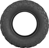 489 22X11X10 Titan 4Pr Tire