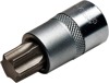 Compensator Bolt Torx Socket - Comp Bolt Torx Socket