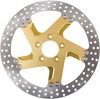 Front Left Brake Rotor 300mm Gold Ops