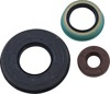 Oil Seal Kit - For 02-04 Polaris Sportsman 600/700