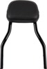 Detachable Backrests - Detach Backrest Systm Blk