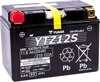 AGM Maintenance Free Battery YTZ12S