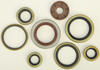 Oil Seal Kit