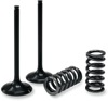 Steel Exhaust Valve/Spring Kit - For 08-11 KTM 250 SXF