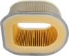 Air Filter - Replaces Kawasaki 11013-0044 For 13-16 Z800