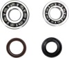 Crankshaft Bearing & Seal Kit