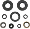 Oil Seal Kit - Fits 98-24 KX100/KX112/KX80/KX85