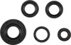 Oil Seal Kit