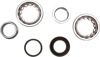 Crankshaft Bearing & Seal Kit - For 06-10 250SX-F