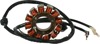 Stator - For 00-02 Magnum, Trail Boss, & XP 325