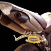 Fender Eliminator - for 04-06 Yamaha R1