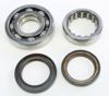 Crankshaft Bearing & Seal Kit