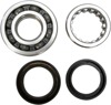 Crankshaft Bearing & Seal Kit