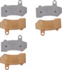 Complete Pad Set - Sintered Metal Brake Pads - Replaces H-D # 41854-08, 42897-08, 42897-06 & 42850-06