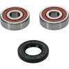 Pw Premium Wheel Bearing