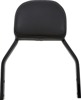 Detachable Backrests - Detachable Backrest Blk