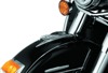 Deco Eagle Fender Ornament 01-22 Honda GL1800 Chrome