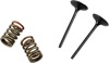 Steel Intake Valve/Spring Kit - For 11-16 Kawasaki KX250F