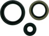 Oil Seal Kit - Fits Polaris Magnum, Ranger, Scrambler & Sportsman