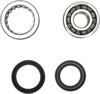 Crankshaft Bearing & Seal Kit