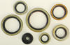 Oil Seal Kit - For 2017 KTM 250SX 250XC 300XC 300XC-W