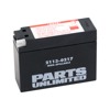 Factory Activated AGM Sealed Battery - Replaces YT4B-BS