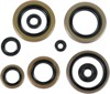 Oil Seal Kit - For 89-94 Kawasaki KDX200