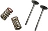 Steel Exhaust Valve/Spring Kit - For 04-16 KX250F RMZ250