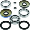 Rear Differential Bearing & Seal Kit