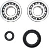 Crankshaft Bearing & Seal Kit