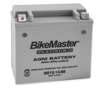 AGM Platinum II Battery - Replaces YTX14-BS