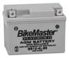 AGM Platinum II Battery - Replaces YTX4L-BS