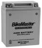 AGM Platinum II Motorcycle & Scooter Battery - Replaces YB12AL-A