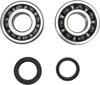 Crankshaft Bearing & Seal Kit