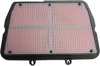 Air Filter - Replaces Triumph T2200557 For 11-20 Tiger 800