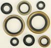 Oil Seal Kit