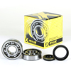 Crankshaft Bearing & Seal Kit