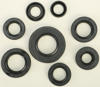 Oil Seal Kit