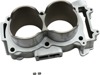 Standard and Big Bore Kits - Cw Standard Cylinder