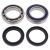 All Balls Racing Drive Jackshaft Bearing Seal