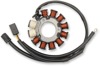 Ricks Motorsport Stator Oem Style Snow