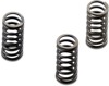 2018 Harley Davidson DYNA FLDE 1YCJ Deluxe (1690cc) CSK Coil & Diaphram Spring Kit