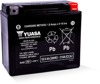 AGM Maintenance Free Battery 310CCA 12V 18Ah - Replaces YTX20HL-BS