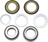 Steering Bearing Kit