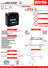 SLA Factory Activated AGM Maintenance Free Battery - Replaces YB9-B